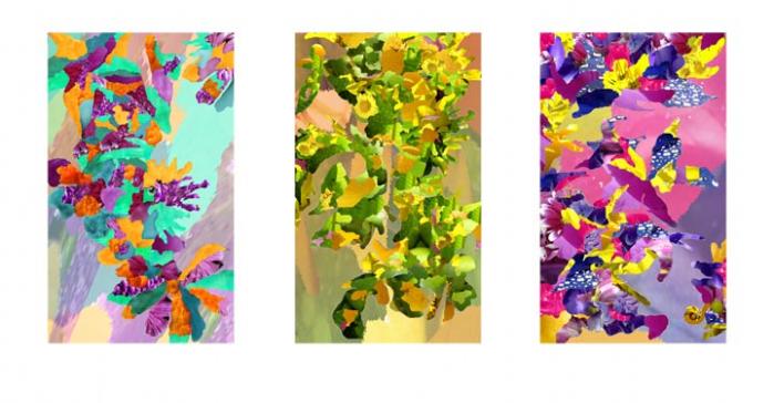 color harmony - Lam Tran - Click to enlarge