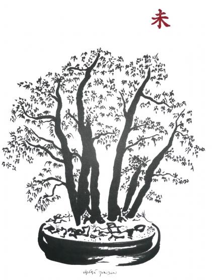 Forêt de hêtres Bonsaï - Valérie Mondon