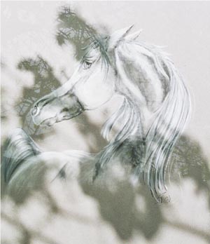 Arabe - Gwénaëlle Le Jeune