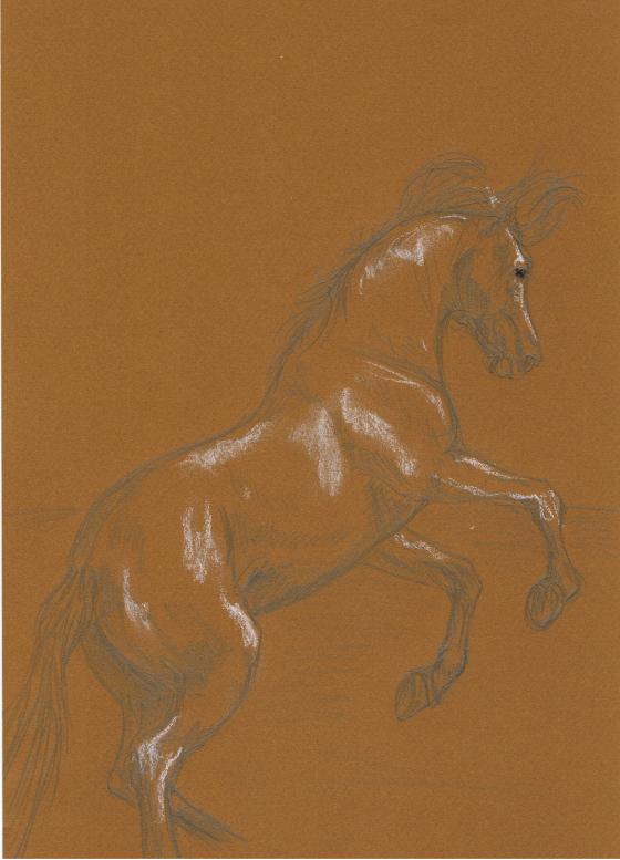 dessin cheval - Gwénaëlle Le Jeune