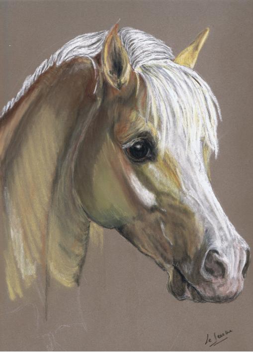 poney - Gwénaëlle Le Jeune