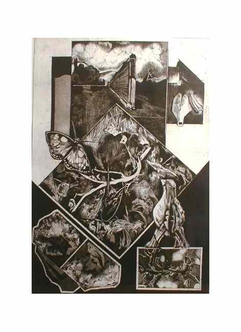 Metamorphoses 2 - Tichomir Russinov
