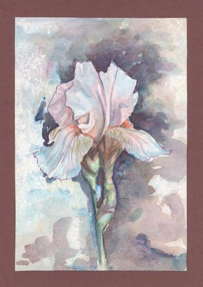 Iris aquarelle 4 - Izabelle Dafali