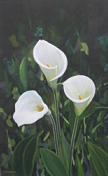 Trois Arum - Izabelle Dafali