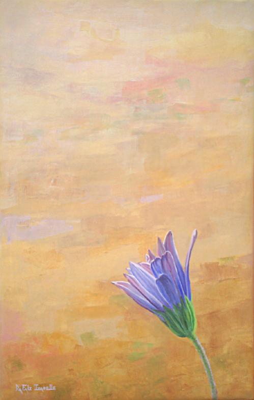 Aster - Izabelle Dafali