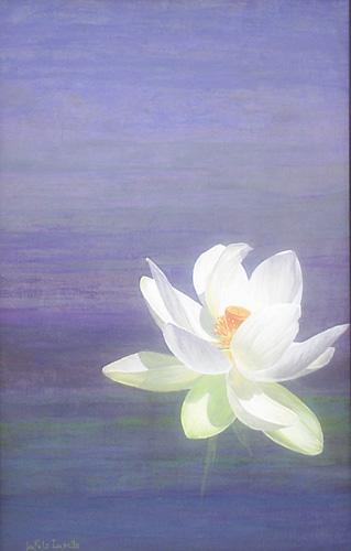 Lotus - Izabelle Dafali