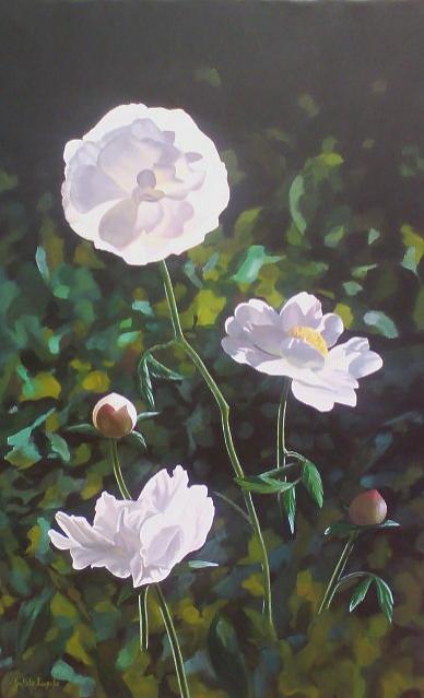 Pivoines blanches - Izabelle Dafali