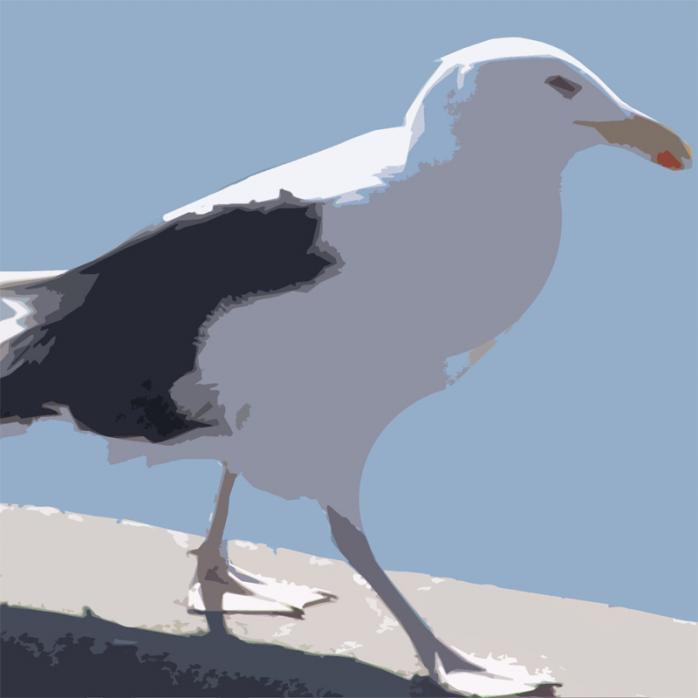 La Mouette - Sofie Moulin - Click to enlarge