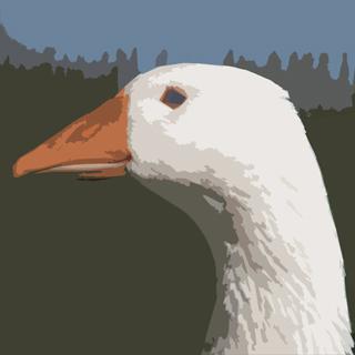 Goose - Sofie Moulin