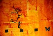 Vincent Bouillet - Enter the gallery